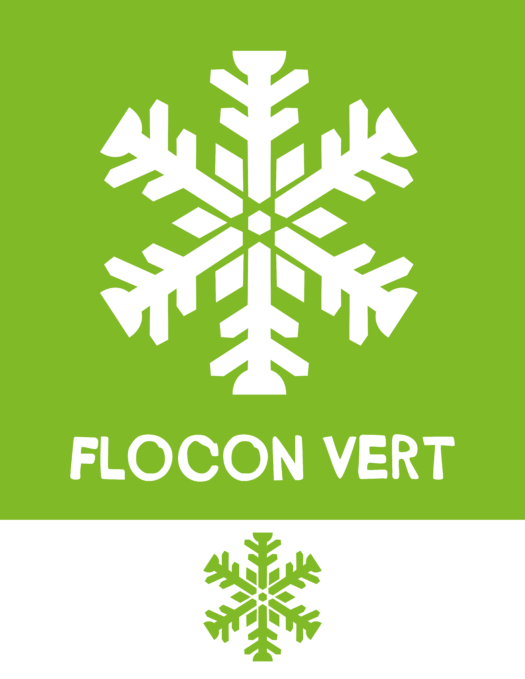 Logo_Flocon-vert_1-flocon