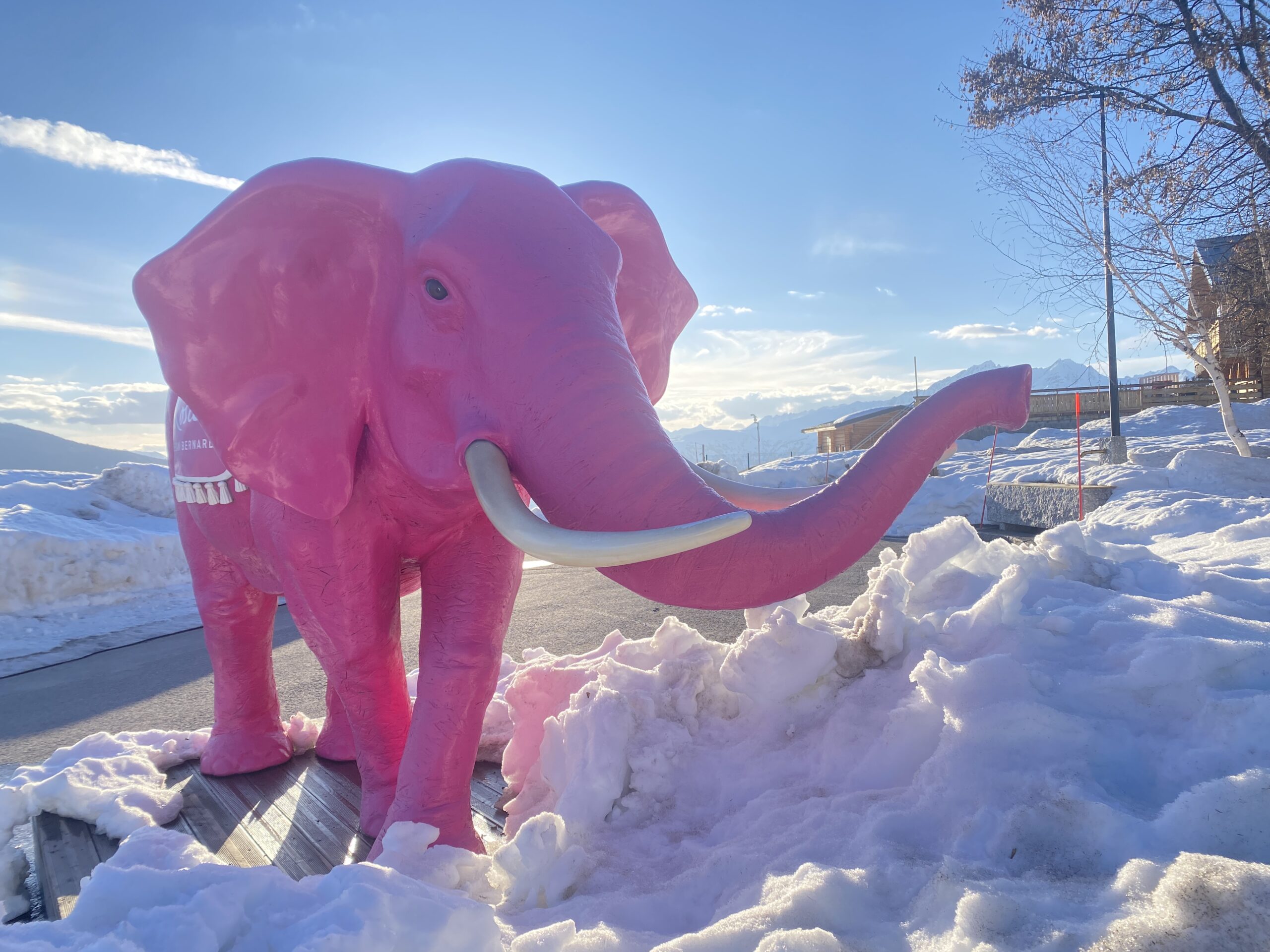 The Pink Elephant of La Rosière: In the Footsteps of Hannibal at
